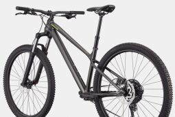 CANNONDALE HABIT HT 2 (C26085U20/OBS)