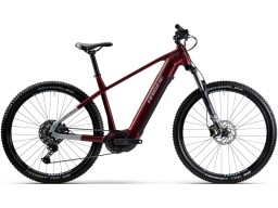 Haibike ALLTRACK 5 29 - dark tuscan/teal