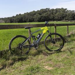 Youin Mont Blanc (Bafang 720Wh) 