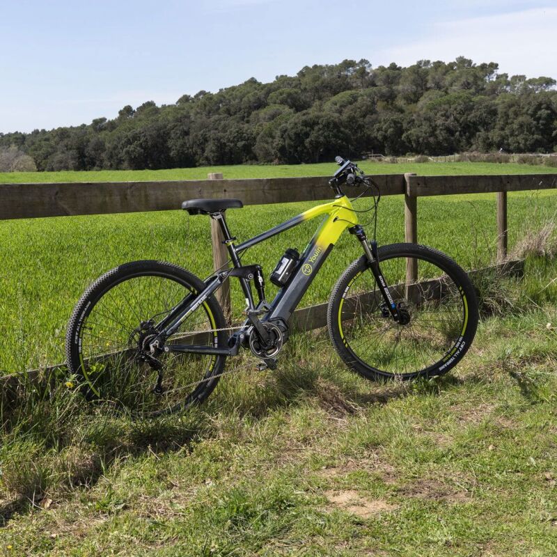 Youin Mont Blanc (Bafang 720Wh) 