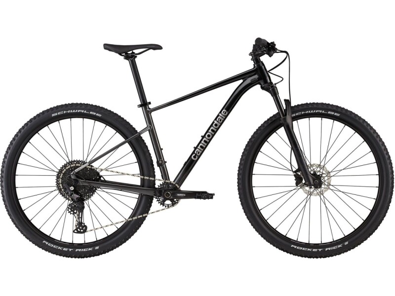 CANNONDALE Trail SL 3